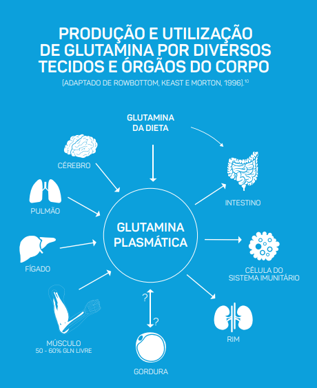 Blindão Suplementos - L-G (300g) Max Titanium é composto pelo aminoácido  glutamina, o mais abundante no plasma e nos tecidos do corpo. A glutamina é  utilizada na síntese de proteína e construção